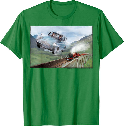 Harry Potter Racing The Hogwarts Express Portrait