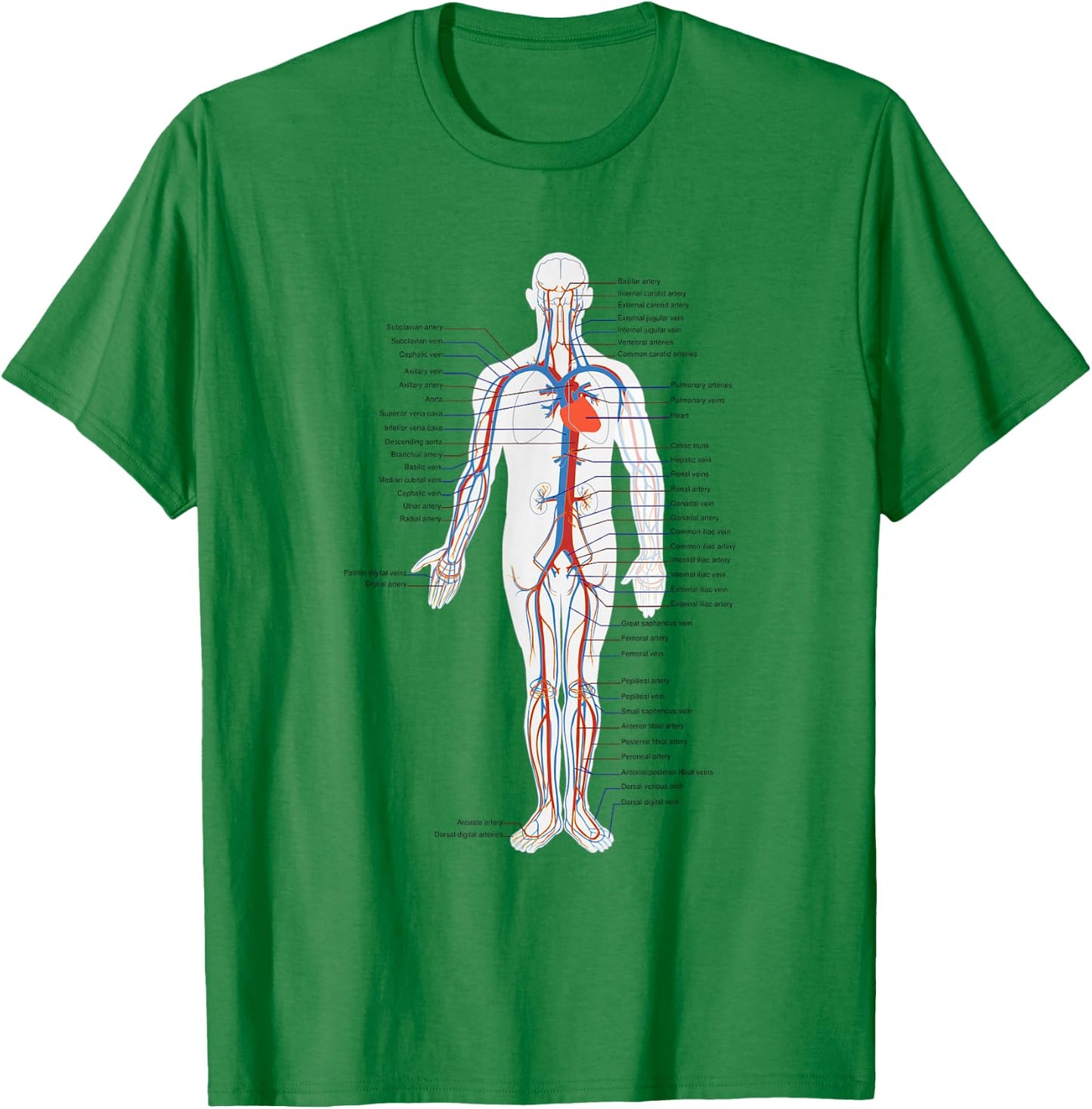 Circulatory System Anatomy Chart Arteries Veins T-Shirt - T-Shirt | Irish Green