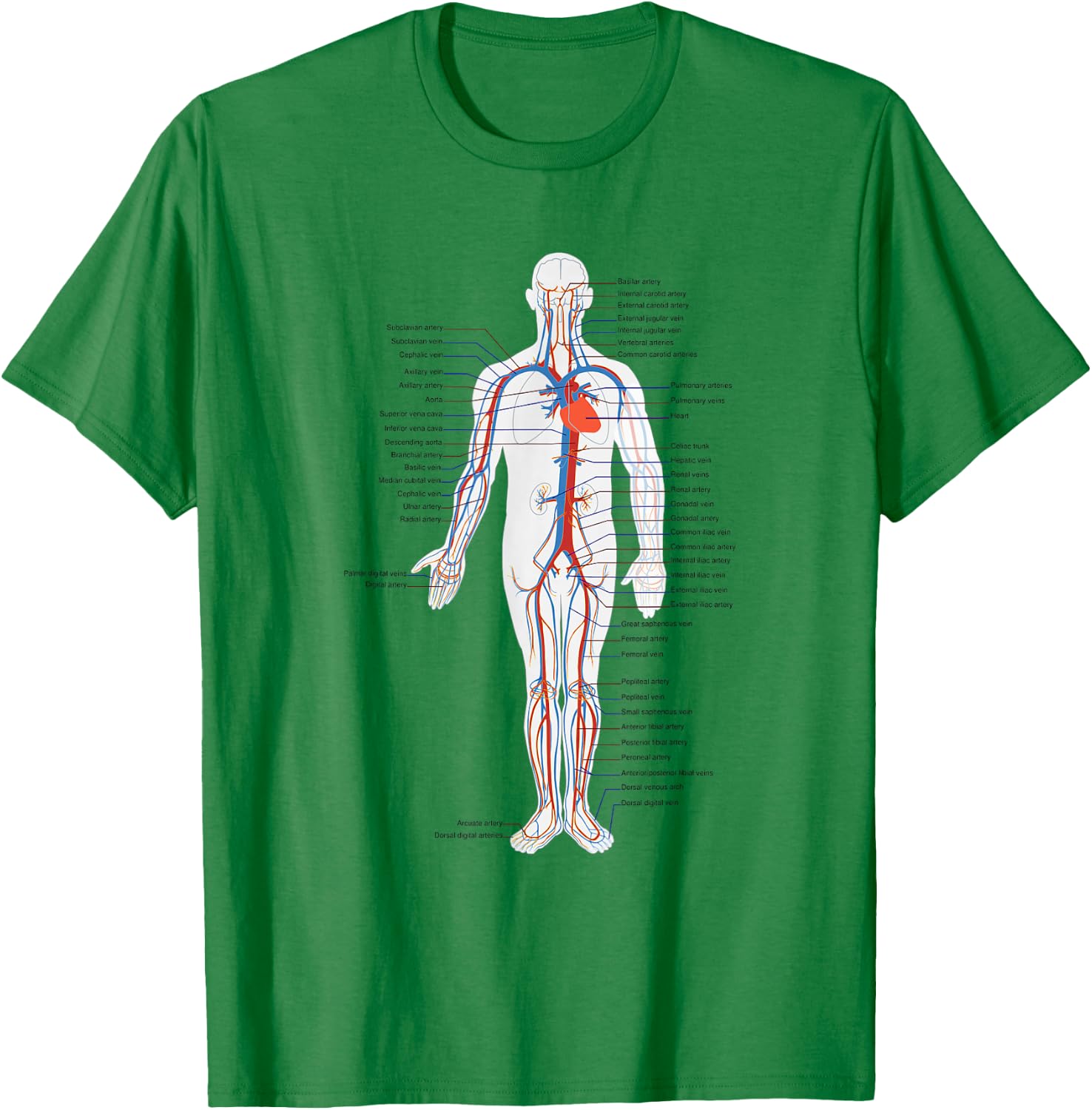 Circulatory System Anatomy Chart Arteries Veins T-Shirt - T-Shirt | Irish Green