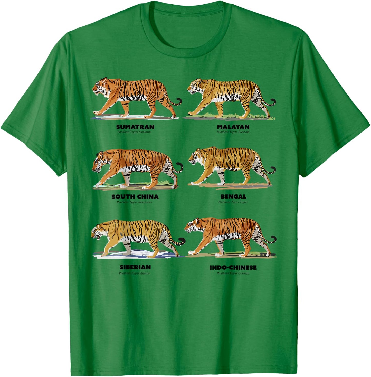 Scientific Exotic Tiger Names T-Shirt - T-Shirt | Irish Green