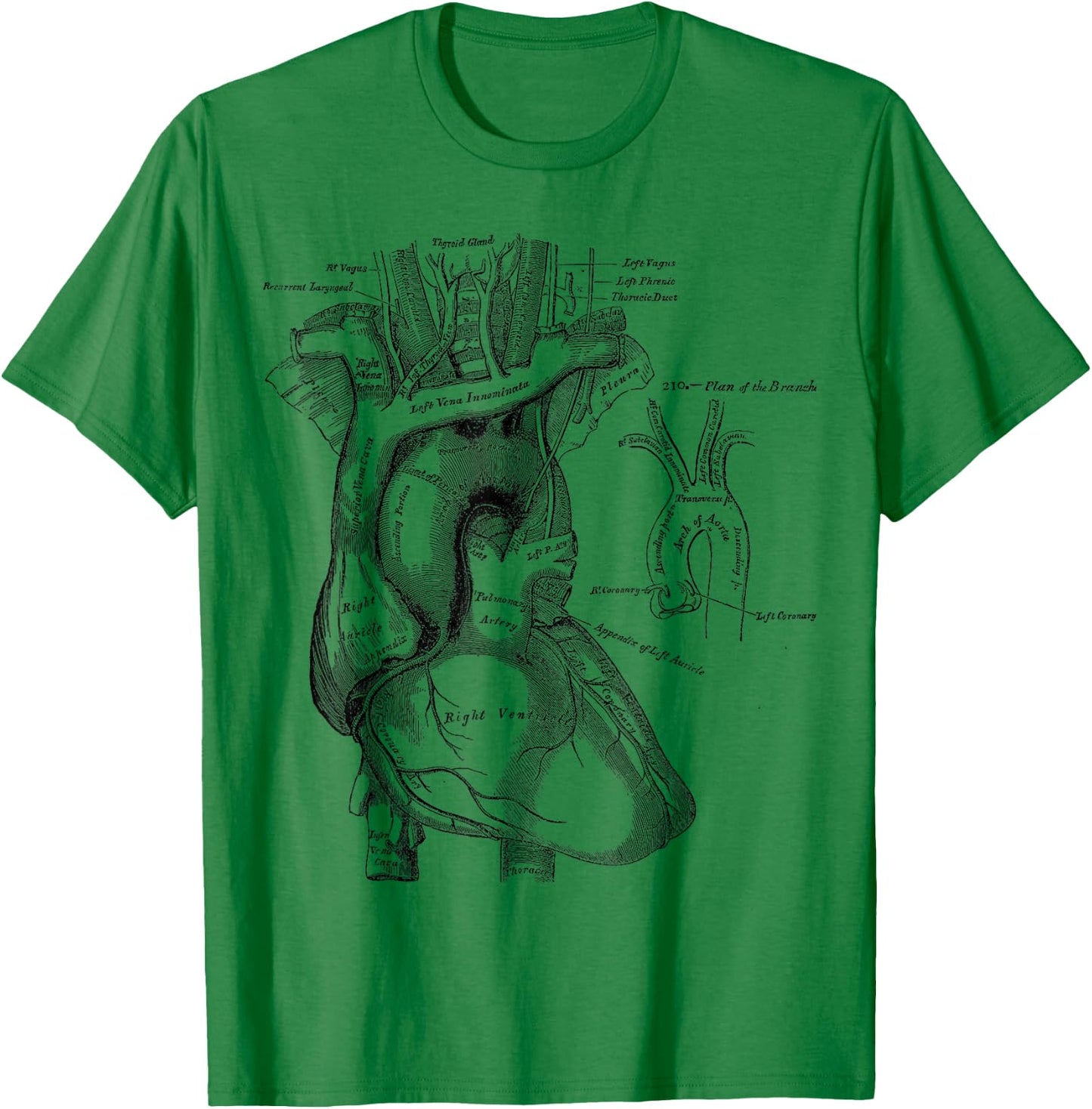 Vintage medical Human Heart Anatomy Illustration T-Shirt - T-Shirt | Irish Green