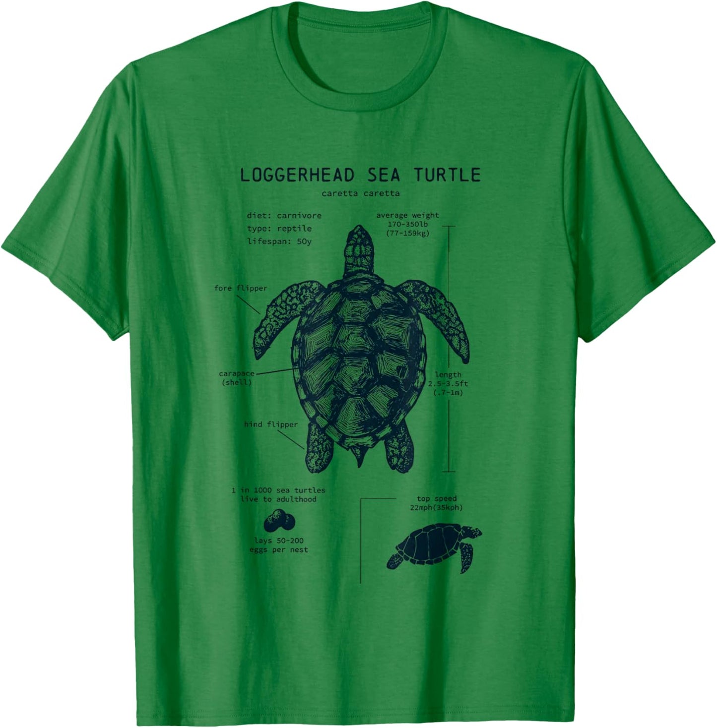 Youth Sea Turtle Anatomy T-Shirt - T-Shirt | Irish Green