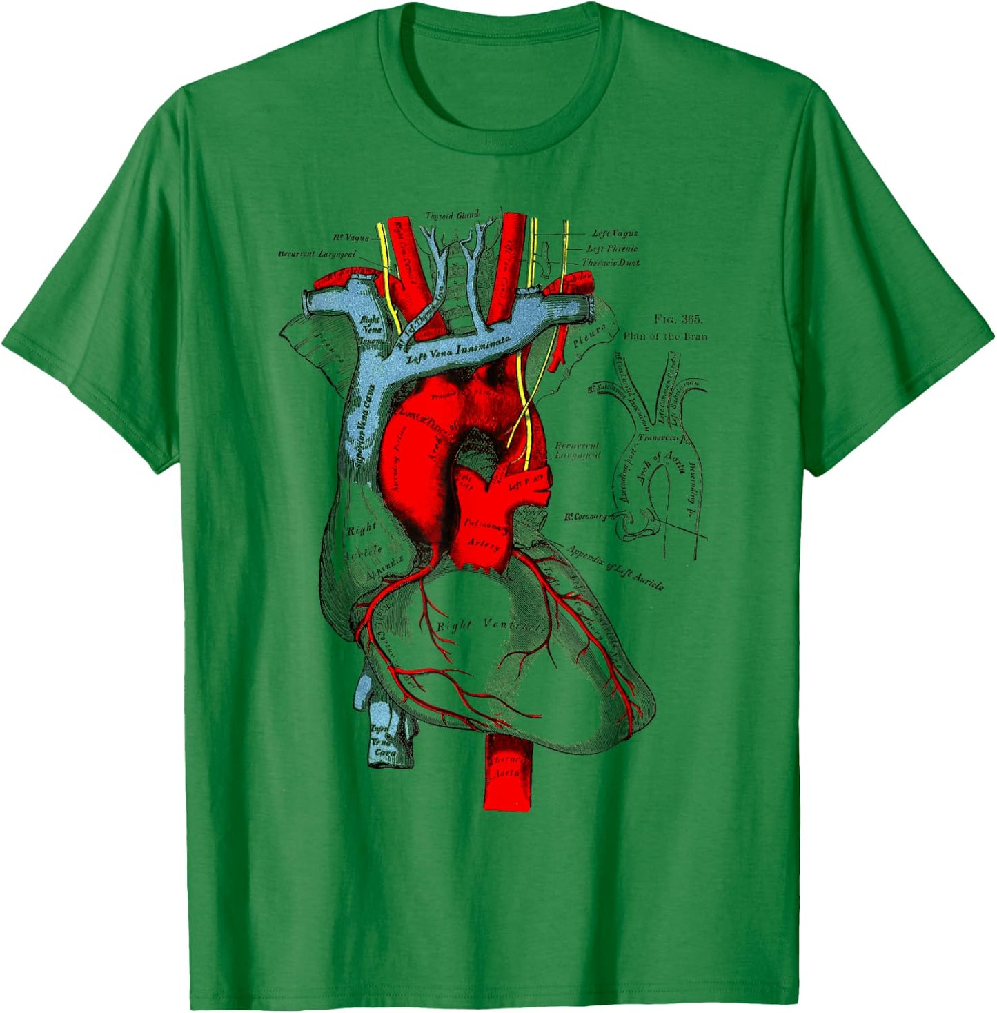 Vintage medical Human Heart Anatomy Illustration T-Shirt - T-Shirt | Irish Green
