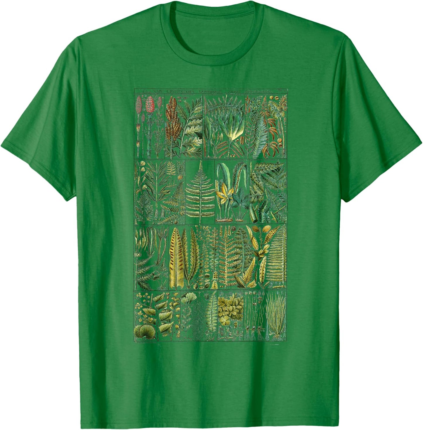 Fern Botanical Plant Botany T-Shirt - T-Shirt | Irish Green