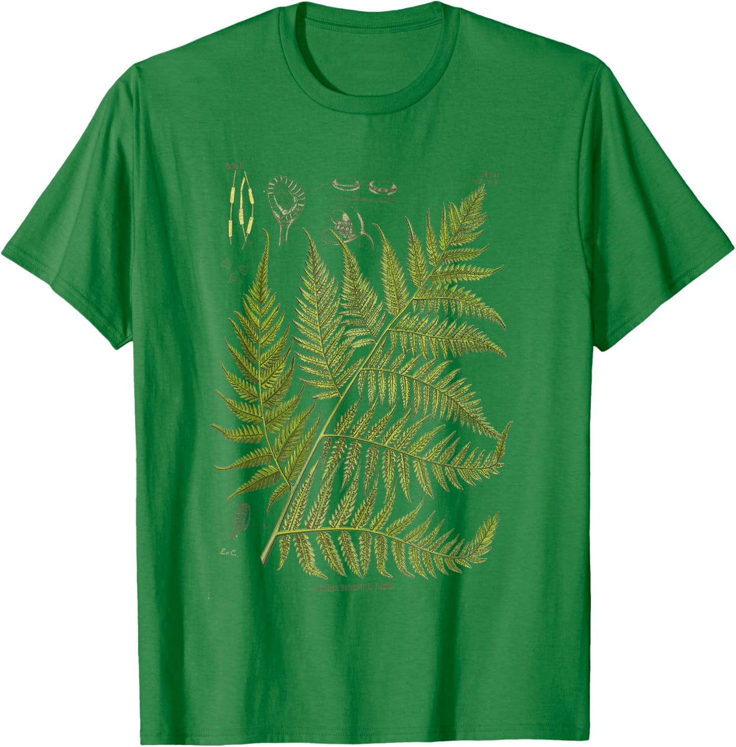 Vintage Botanical Fern Garden Botany Fern T-Shirt - T-Shirt | Irish Green