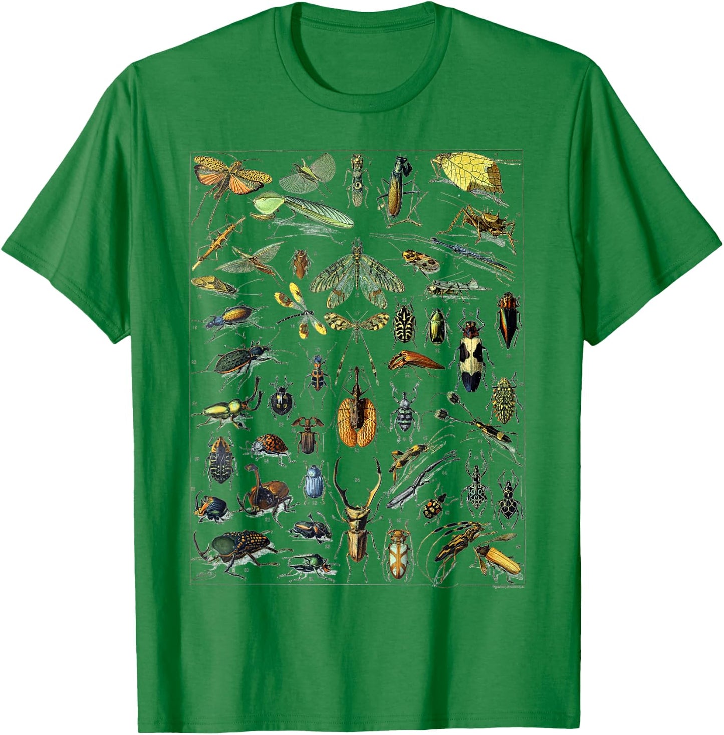Insect Bug Entomology Print Gift Bug Print T-Shirt - T-Shirt | Irish Green