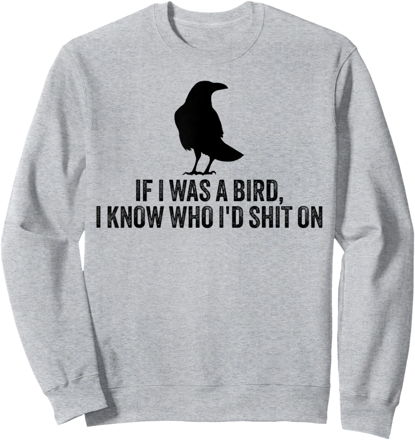 If I Was A Bird I Know Who I'd Shit On Sweatshirt - Sweatshirt | Ash