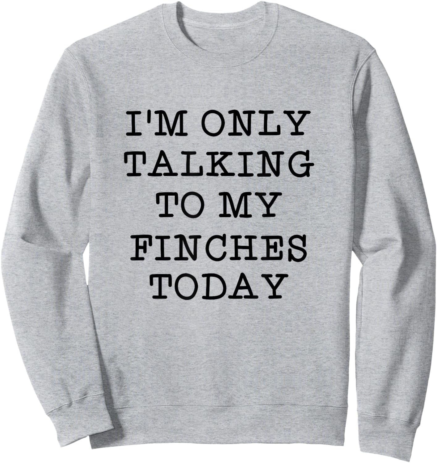 I'm Only Talking To My Finches Today Bird Lover Humor Quote Sweatshirt - Sweatshirt | Ash