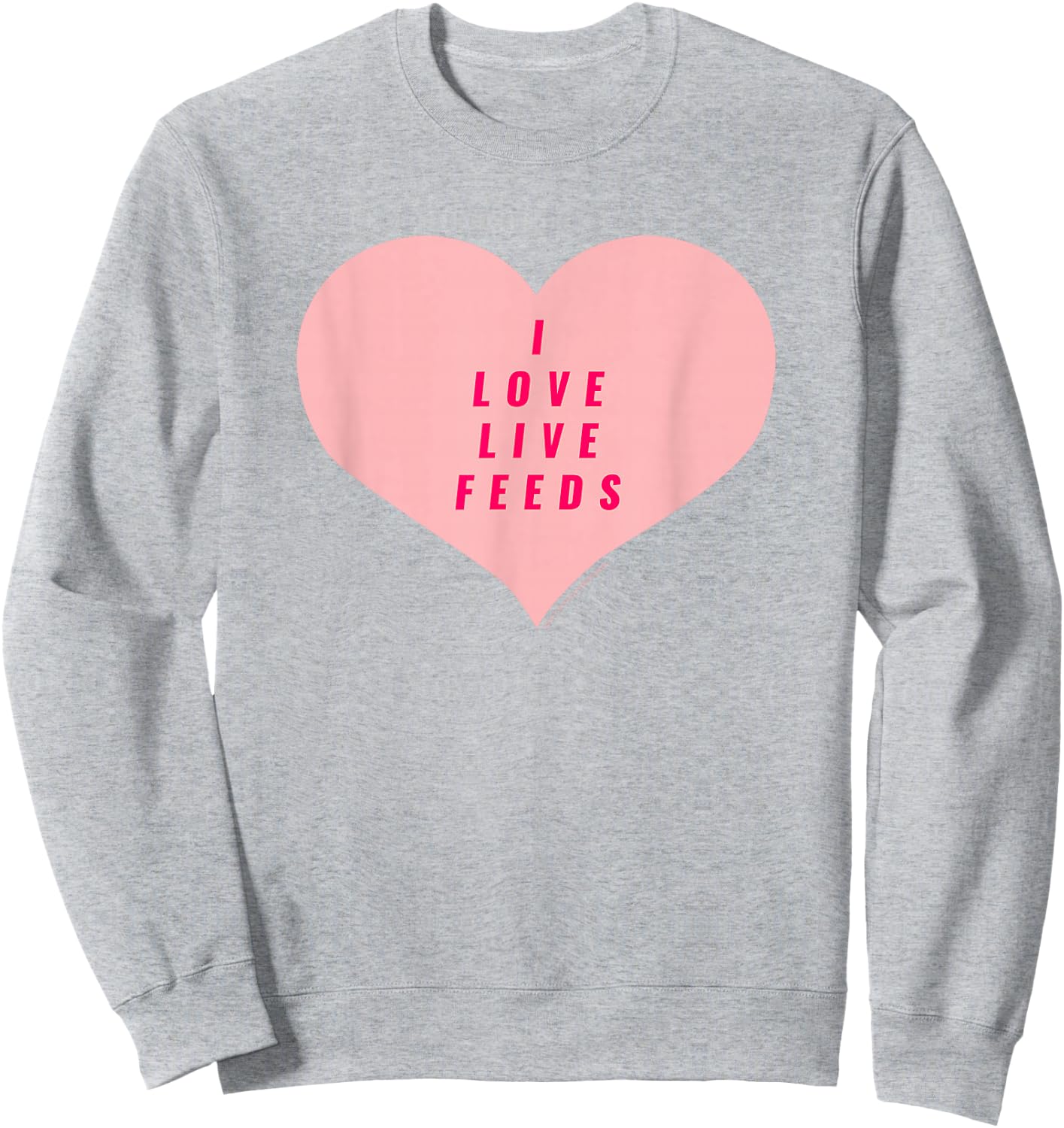 Big Brother Heart Live Feeds Sweatshirt - Sweatshirt | Ash