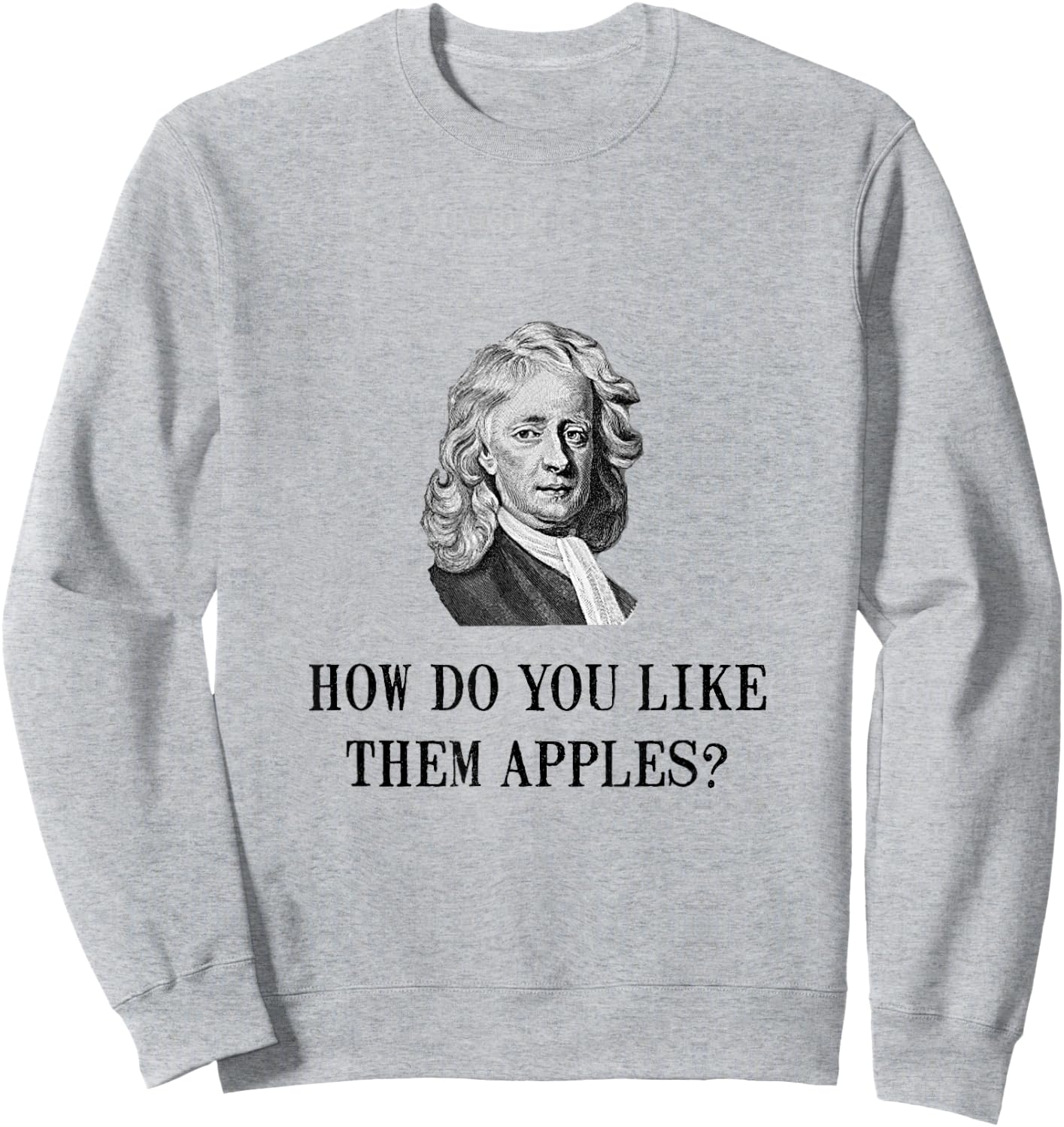 Sir Isaac Newton Apple Funny Nerd Sweatshirt - Sweatshirt | Ash