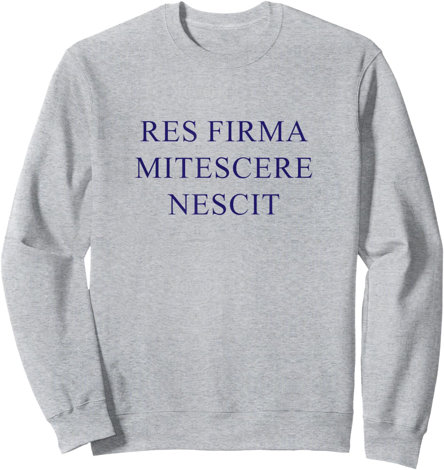 American Flyers "Res Firma Mitescere Nescit" Sweatshirt - Sweatshirt | Ash