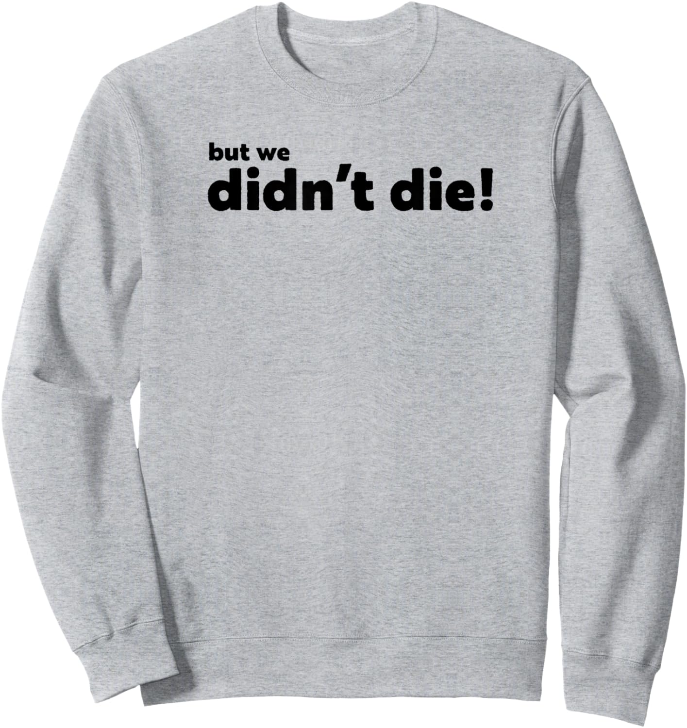 Funny Adventure Graphics, BUT WE Didn't DIE Sweatshirt - Sweatshirt | Ash