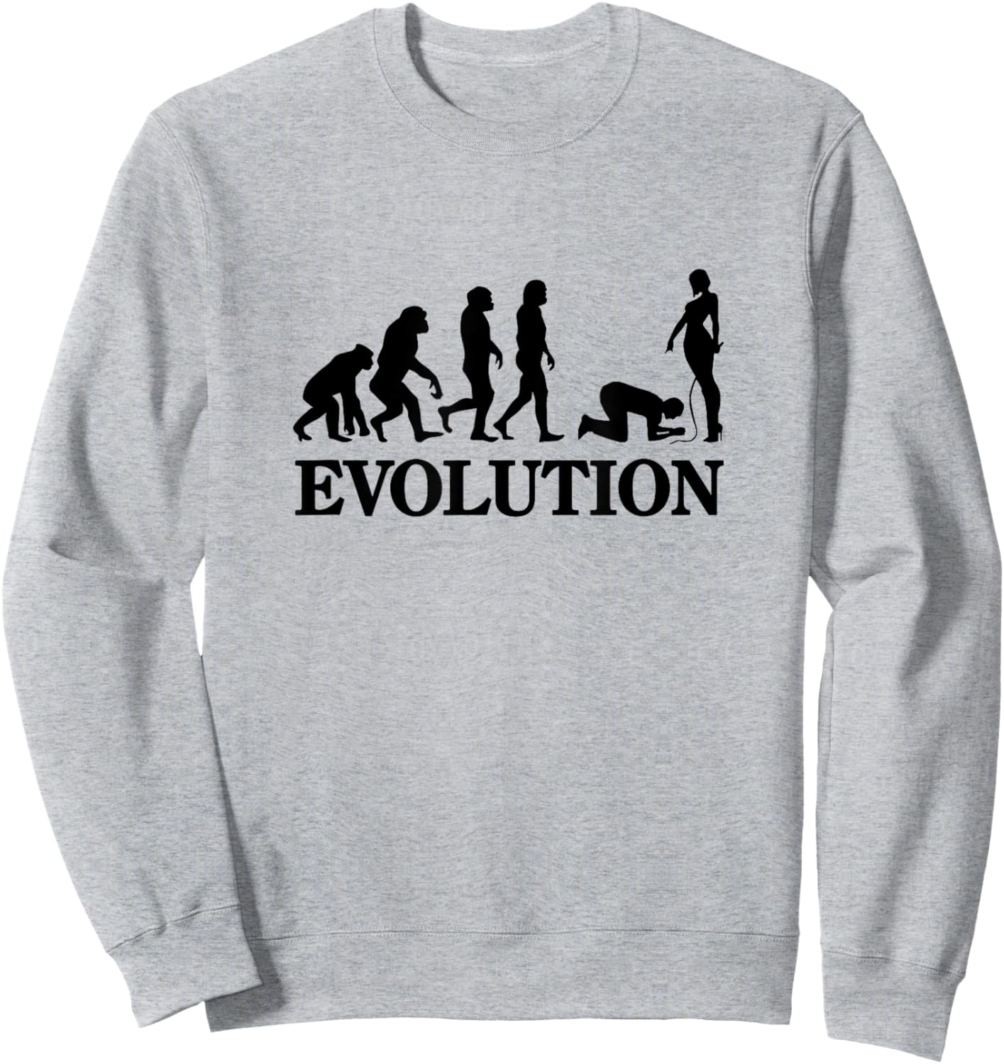 Evolution Sweatshirt - Sweatshirt | Ash