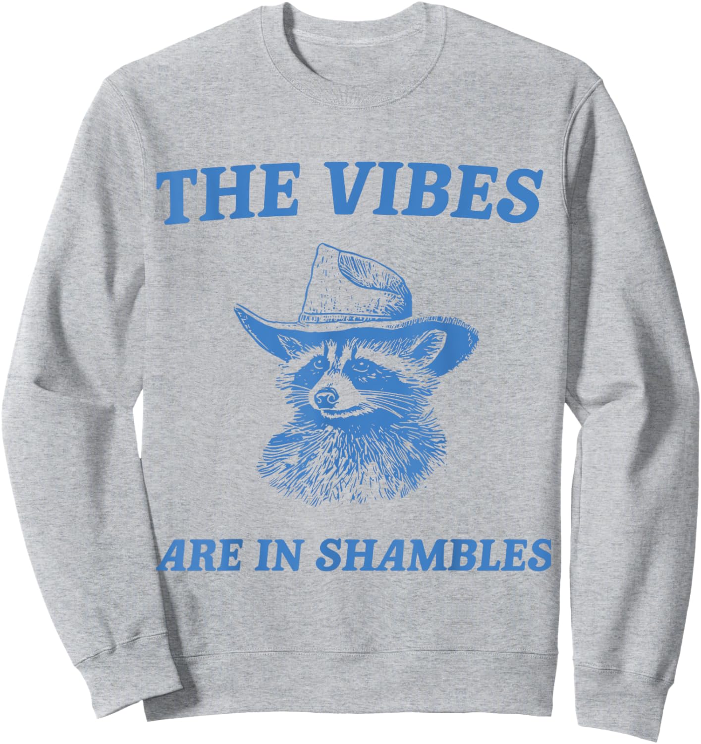 The Vibes Are In Shambles Sweatshirt - Sweatshirt | Ash