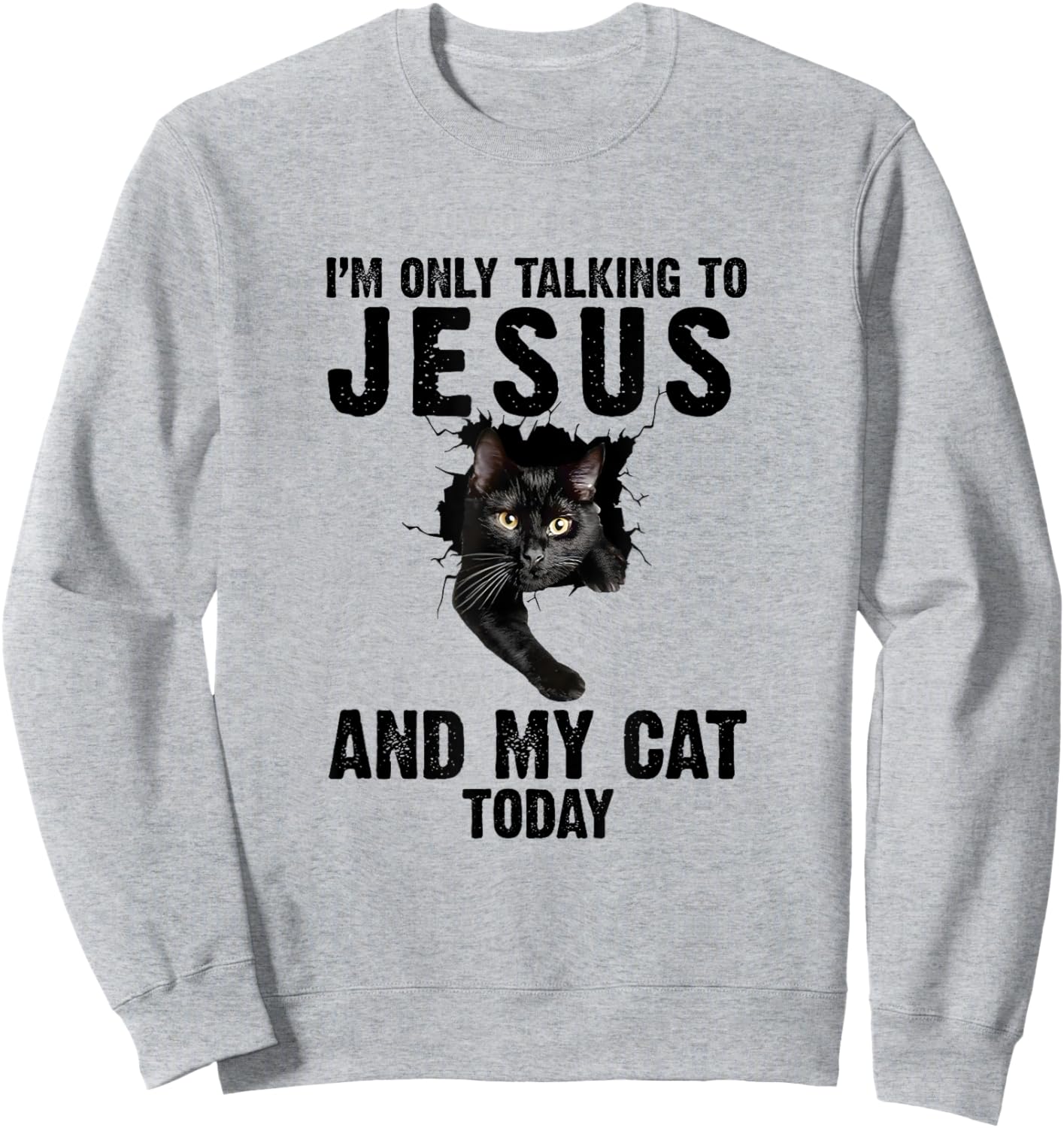 I'm Only Talking To Jesus And My Cat Today Women Sweatshirt - Sweatshirt | Ash