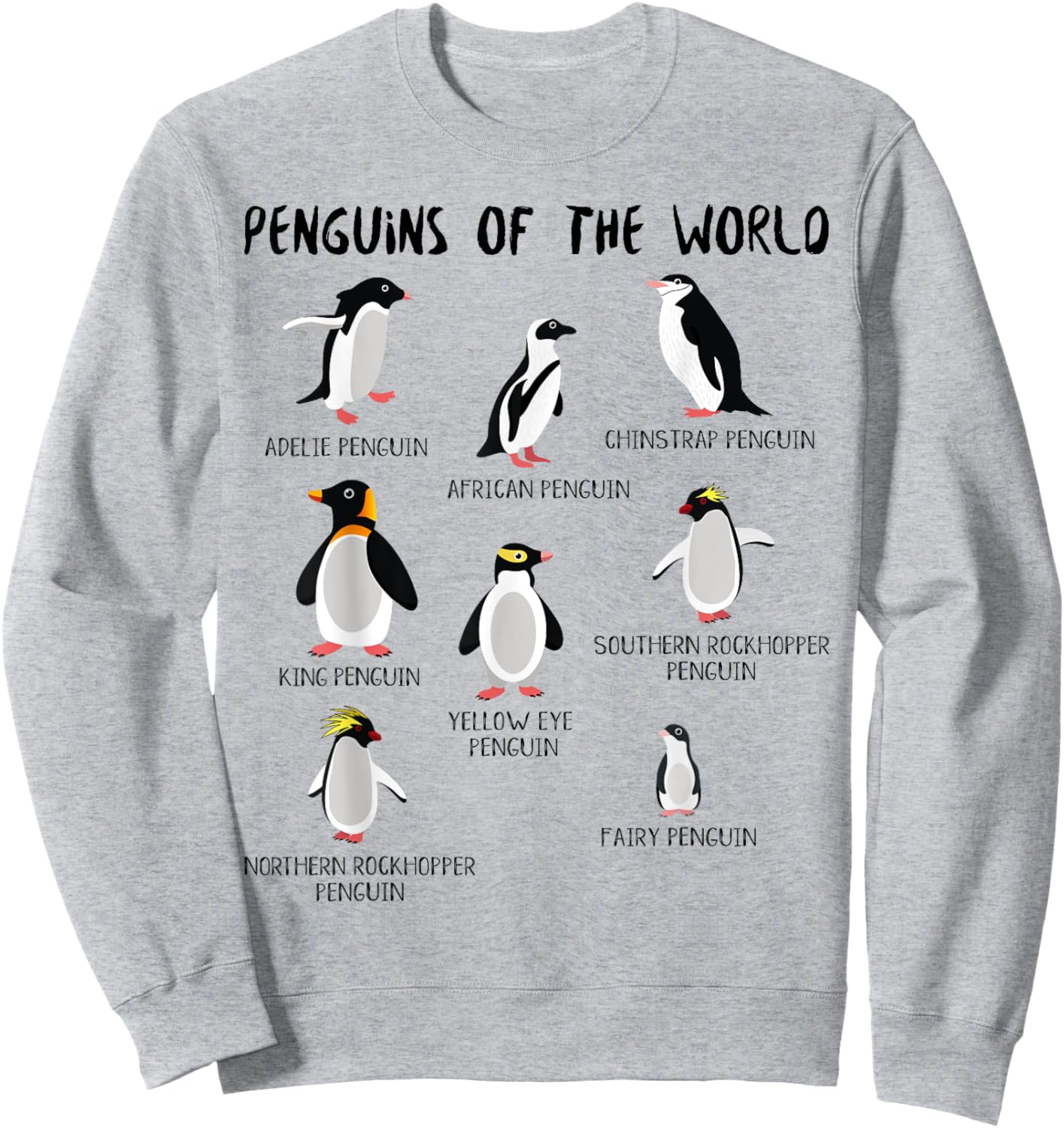 Penguin Animals Education for Kids Youth Teen Boys and Girls Sweatshirt - Sweatshirt | Ash