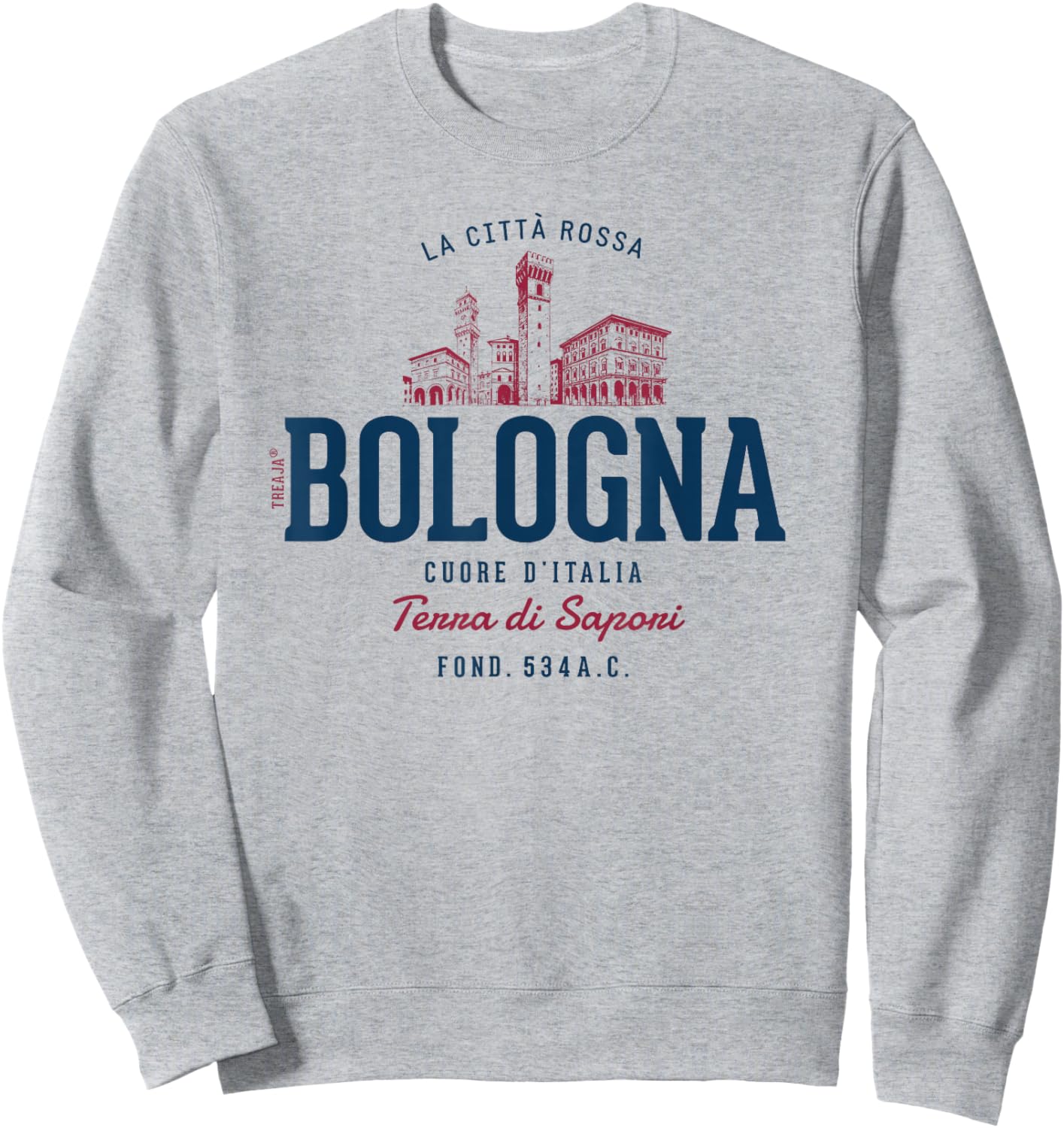 Italy Retro Styled Vintage Bologna Sweatshirt - Sweatshirt | Ash