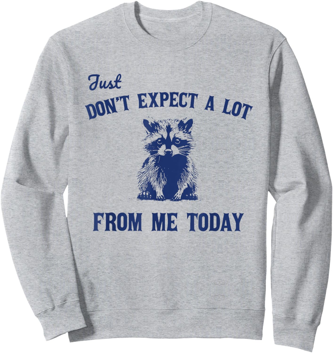 Just Don't Expect A Lot From Me Today Funny Raccoon Sweatshirt - Sweatshirt | Ash