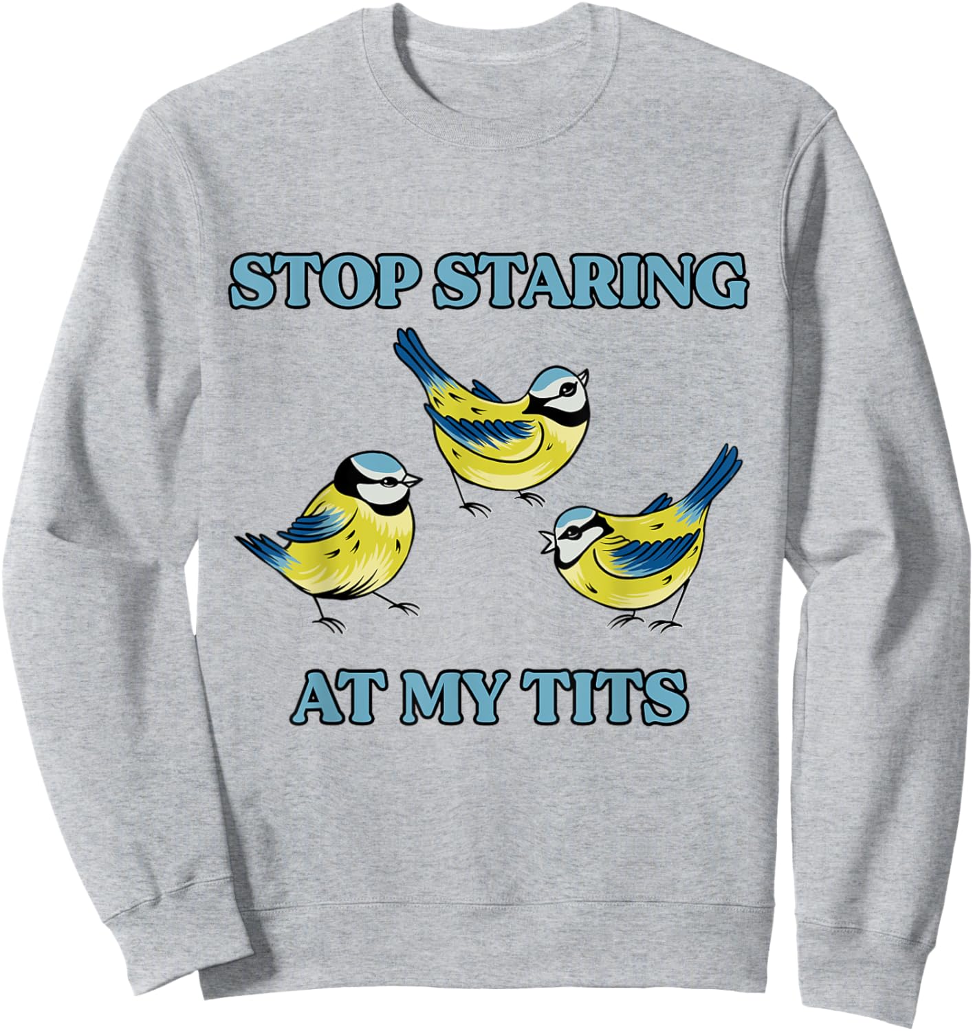 Bird Satire Dark Humor Sarcastic Weird Meme Joke Silly Funny Sweatshirt - Sweatshirt | Ash