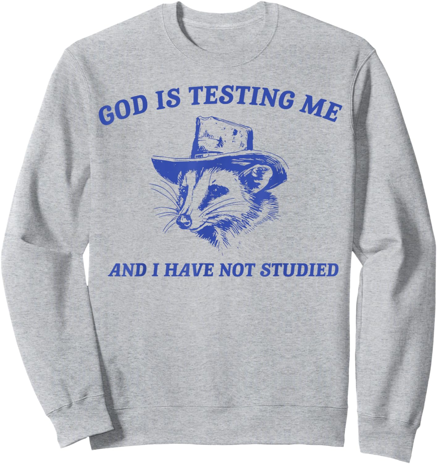 God Is Testing Me And I Have Not Studied Funny Possum Sweatshirt - Sweatshirt | Ash