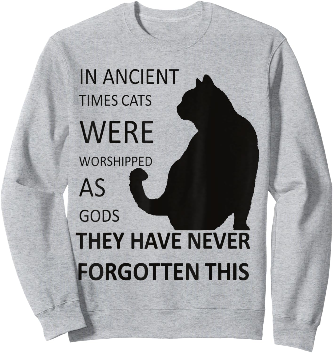 In Ancient Times Cats Were Worshipped As Gods v1 Sweatshirt - Sweatshirt | Ash