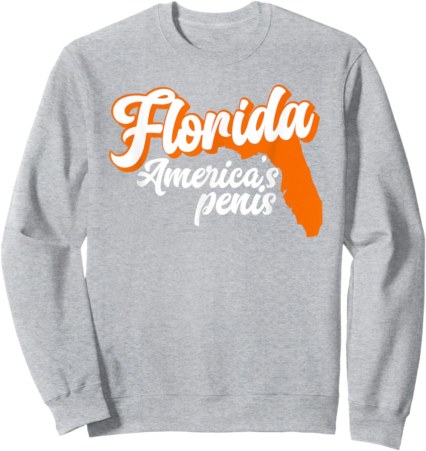 Florida is America’S Penis - Funny Florida Sucks Sweatshirt - Sweatshirt | Ash