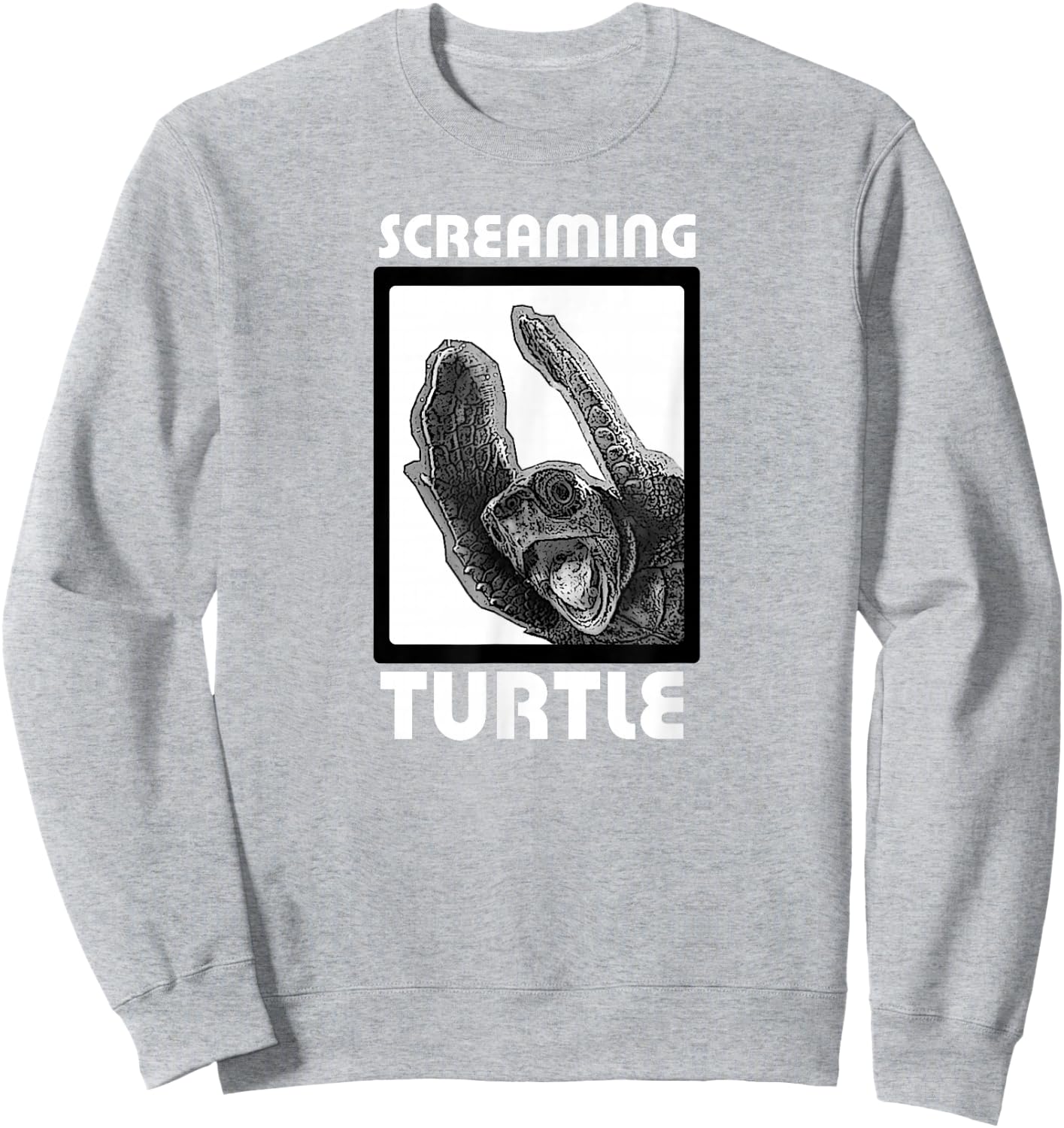 Head First: Screaming Turtle Sweatshirt - Sweatshirt | Ash