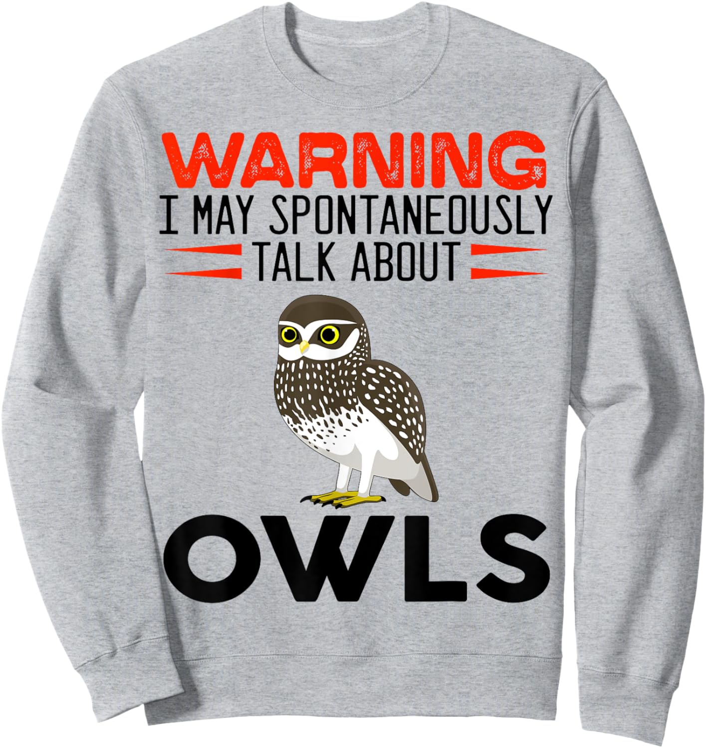 Warning I May Spontaneously Talk About Owls Funny Owl Sweatshirt - Sweatshirt | Ash