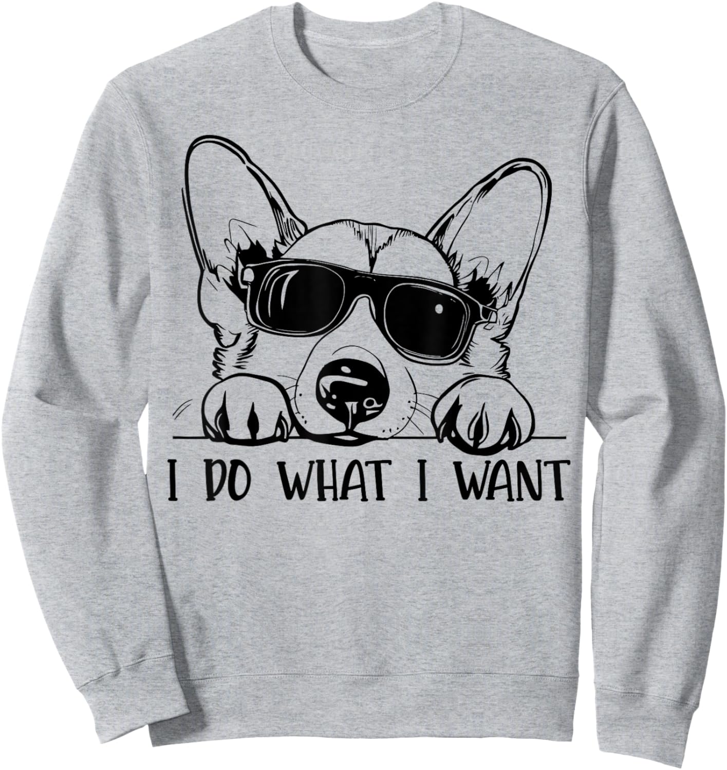 Corgi Dog Owner I Do What I Want Funny Pet Sweatshirt - Sweatshirt | Ash