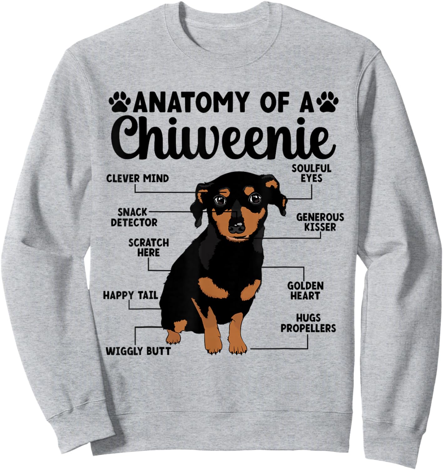 Anatomy Of A Chiweenie Owner Chiweenie Mom Chiweenie Dad Sweatshirt - Sweatshirt | Ash
