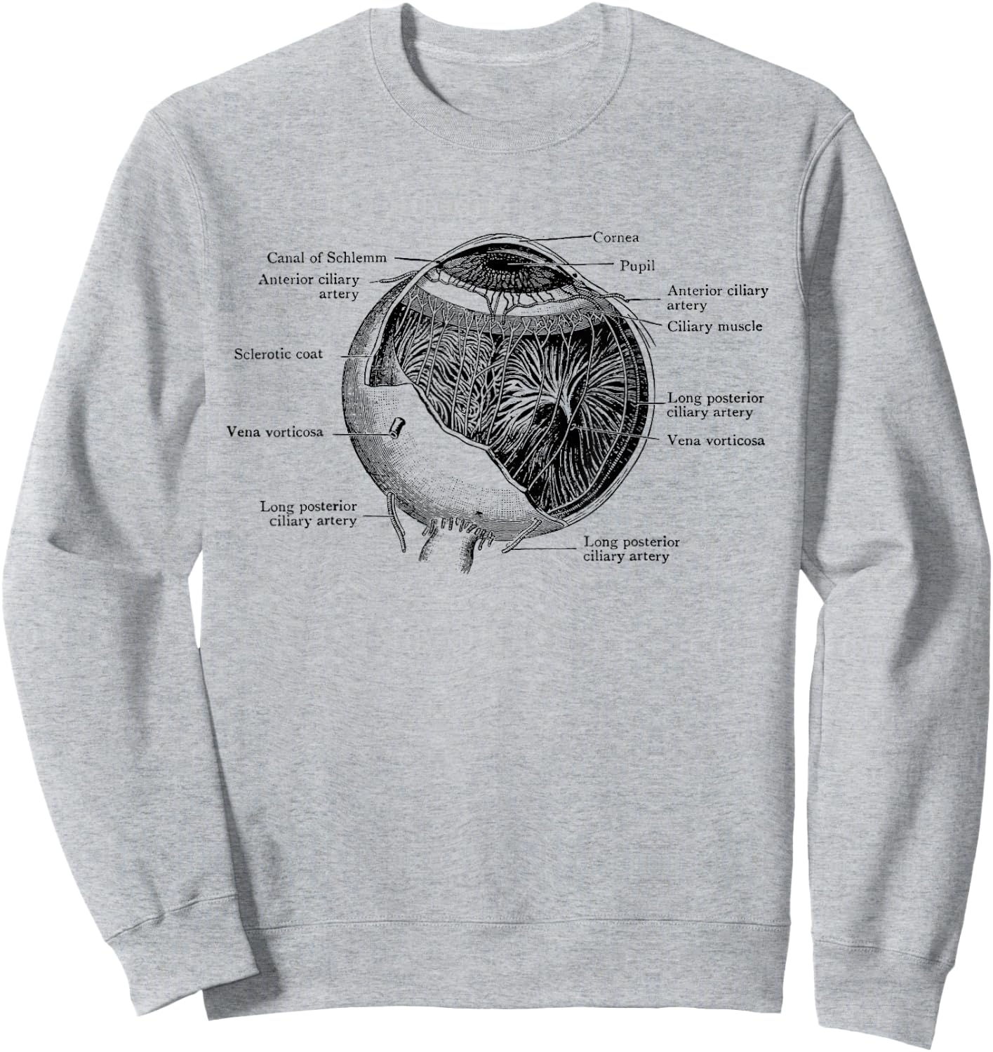 The Human Eye Eyeball Vintage Anatomy Sweatshirt - Sweatshirt | Ash