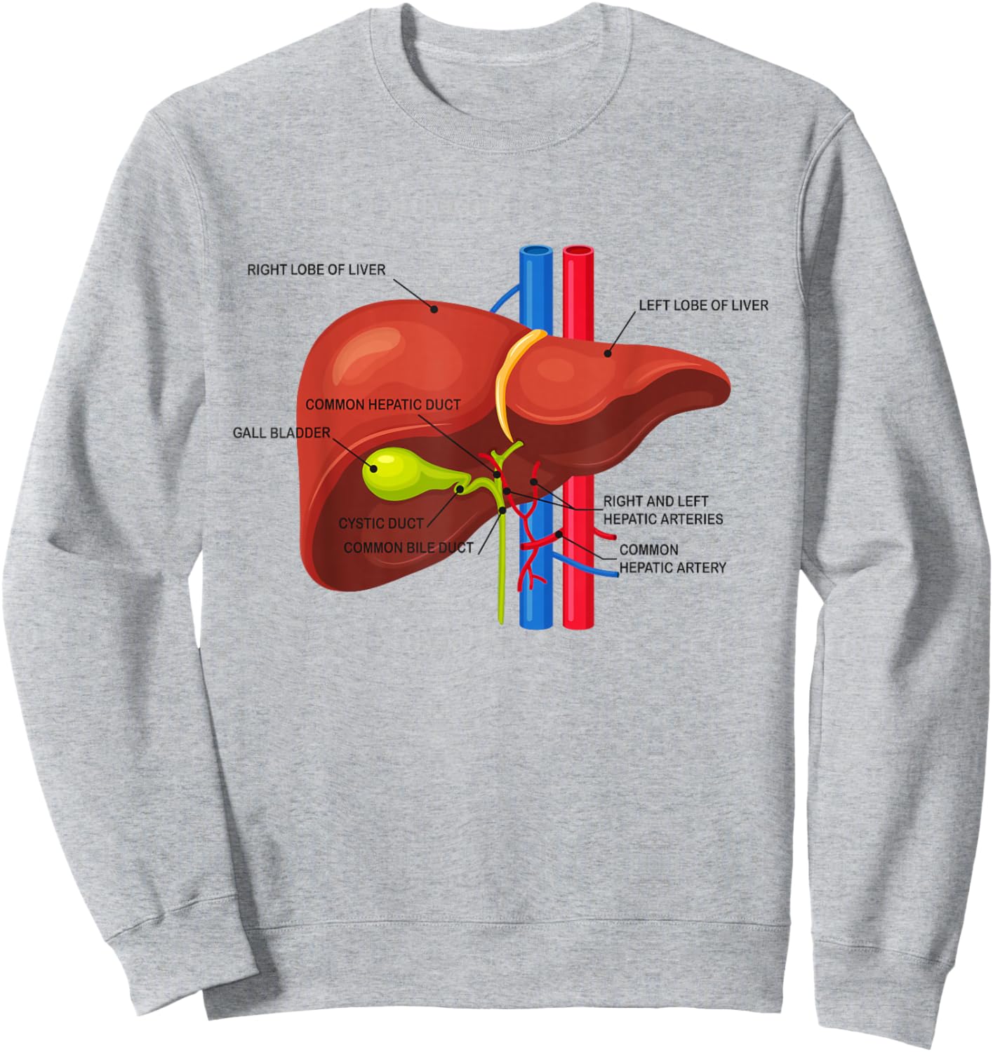 Funny Human Liver Anatomy Anatomical Liver Sweatshirt - Sweatshirt | Ash