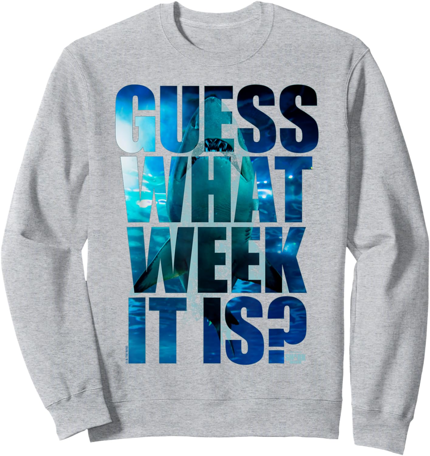 Shark Week Officially Licensed Guess What Week It Is Sweatshirt - Sweatshirt | Ash