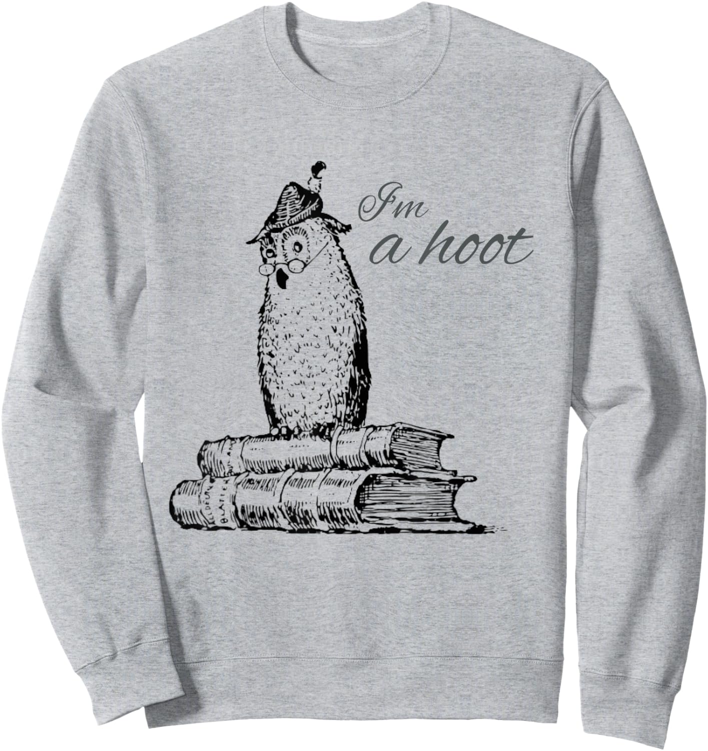 Funny Owl Shirts -Adults & Kids Grey Owl Print Sweatshirt - Sweatshirt | Ash