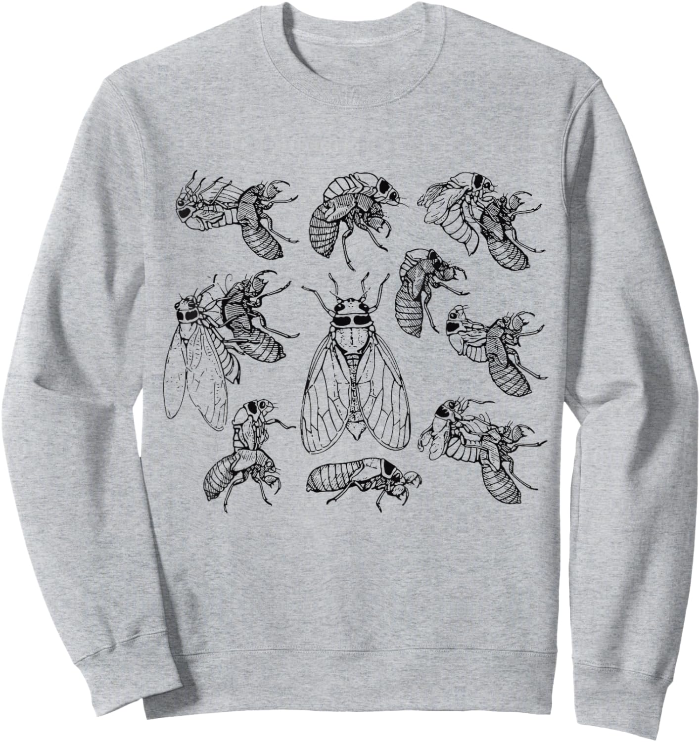Cicadas Life Cycle Vintage Science Cicada Bug Illustration Sweatshirt - Sweatshirt | Ash