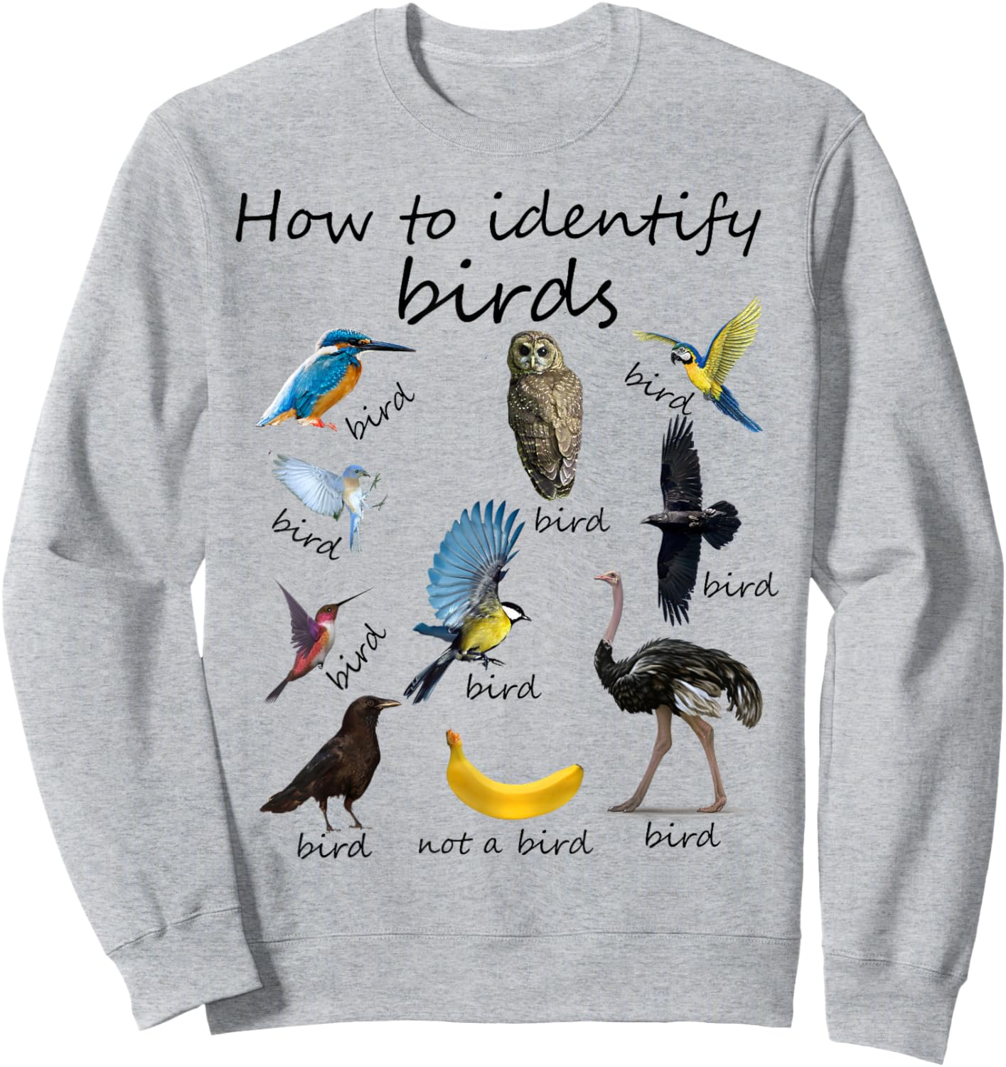 How To Identify Birds Bird Watcher Sweatshirt - Sweatshirt | Ash