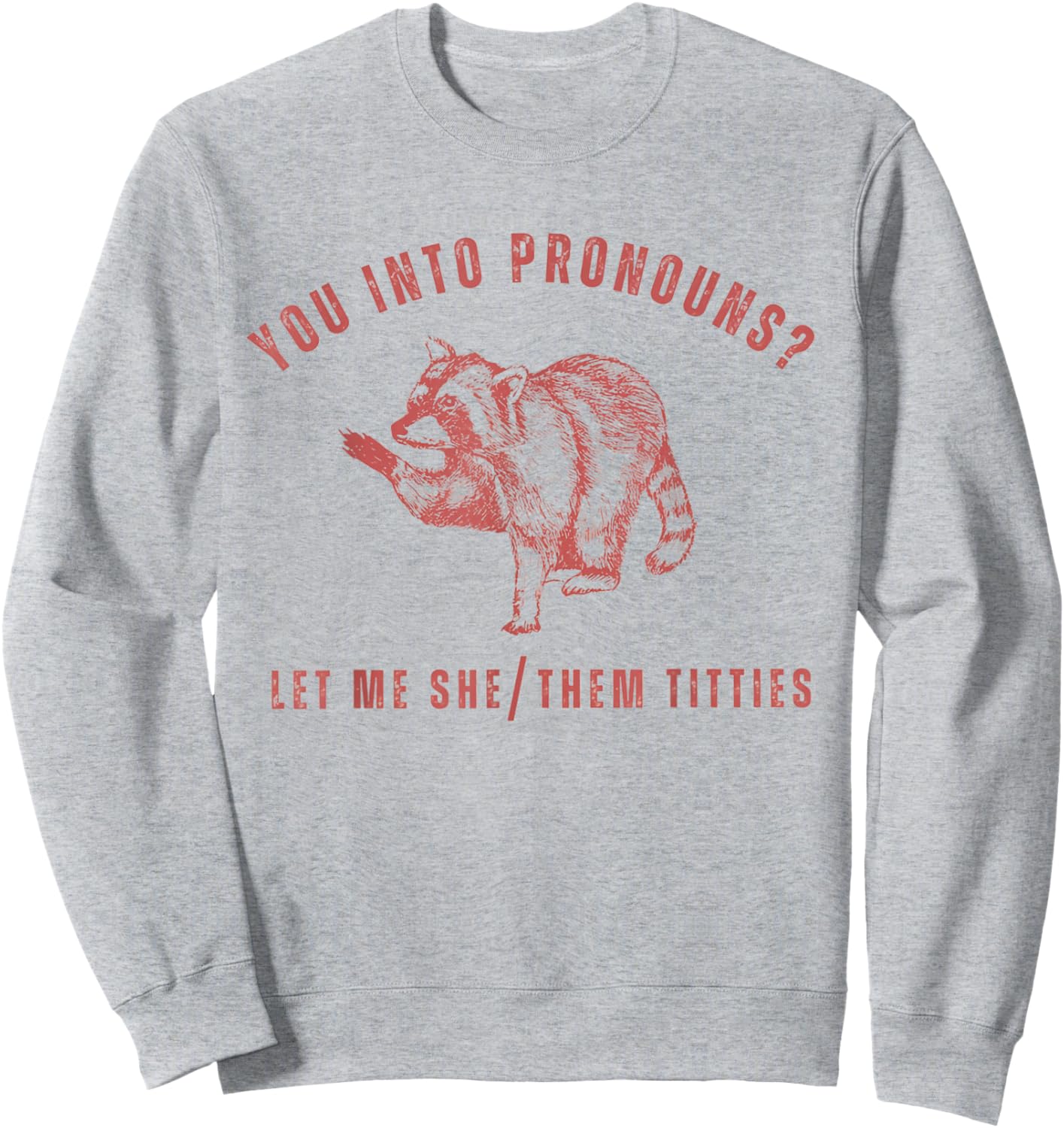 Retro Racoon You Into Pronouns Let Me She Them Titties Sweatshirt - Sweatshirt | Ash