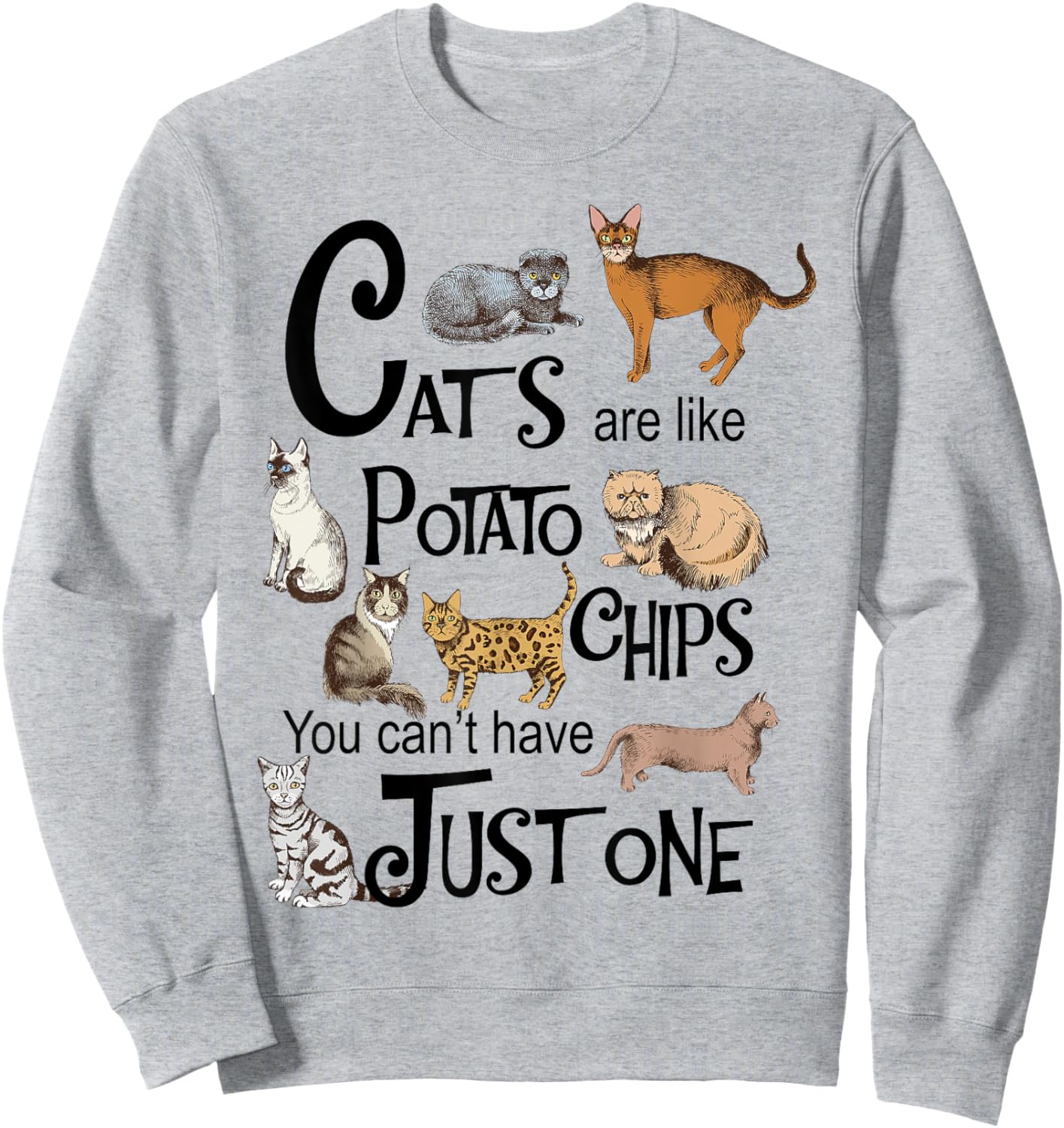 Cats Are Like Potato Chips You Can't Have Just One Sweatshirt - Sweatshirt | Ash