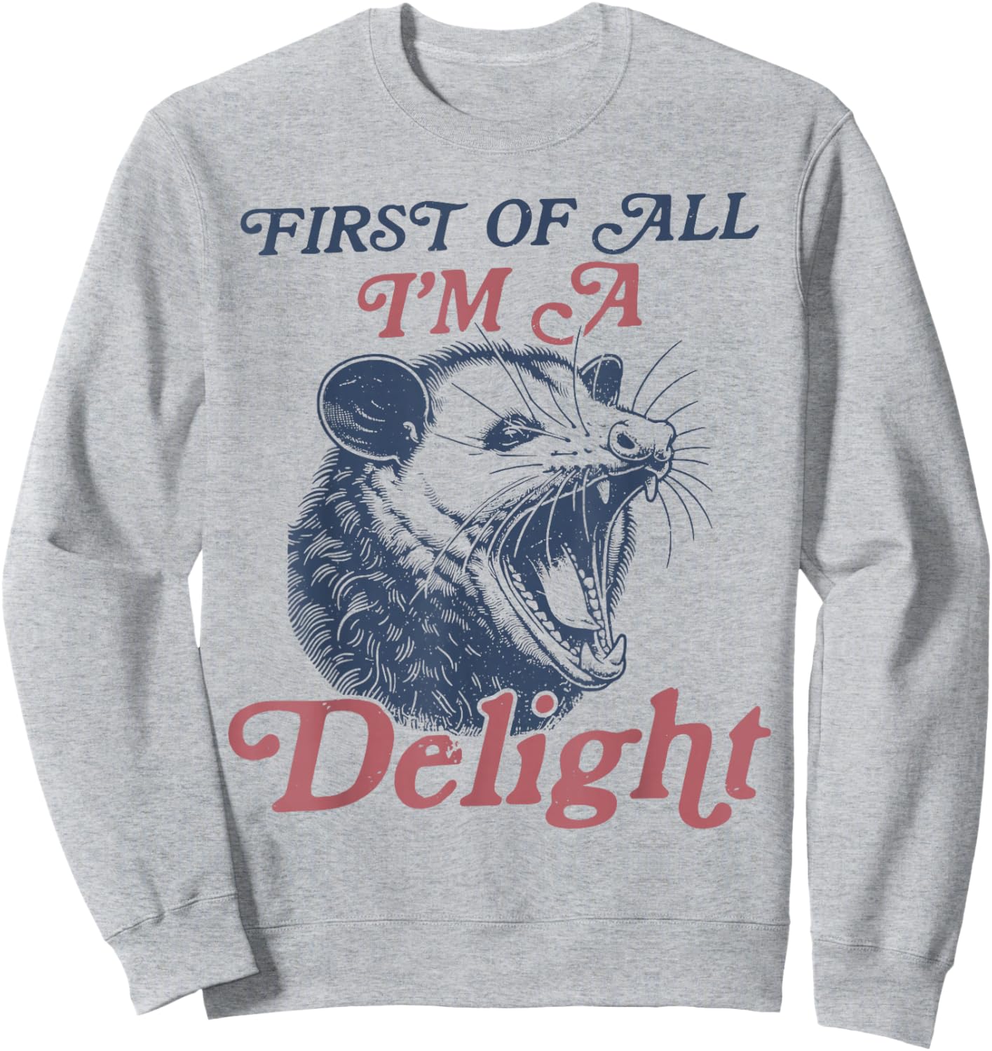 First Of All I'm A Delight Sarcastic Angry Opossum Possum Sweatshirt - Sweatshirt | Ash