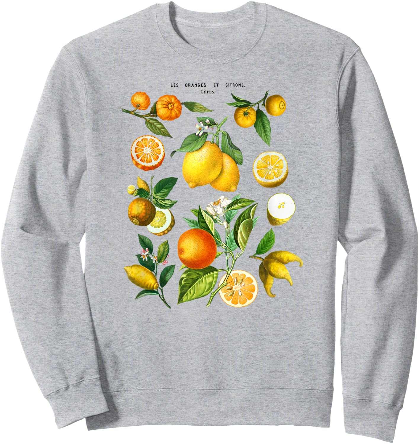 Citrus Collage Sweatshirt - Sweatshirt | Ash
