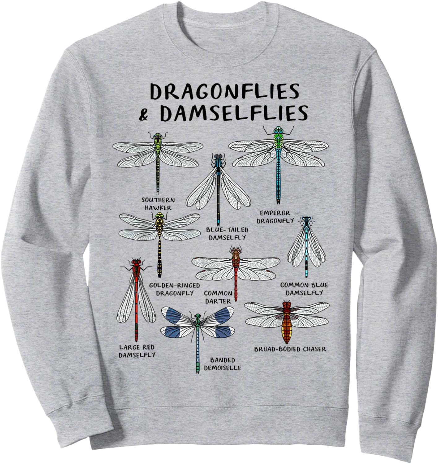 Dragonflies And Damselflies Sweatshirt - Sweatshirt | Ash