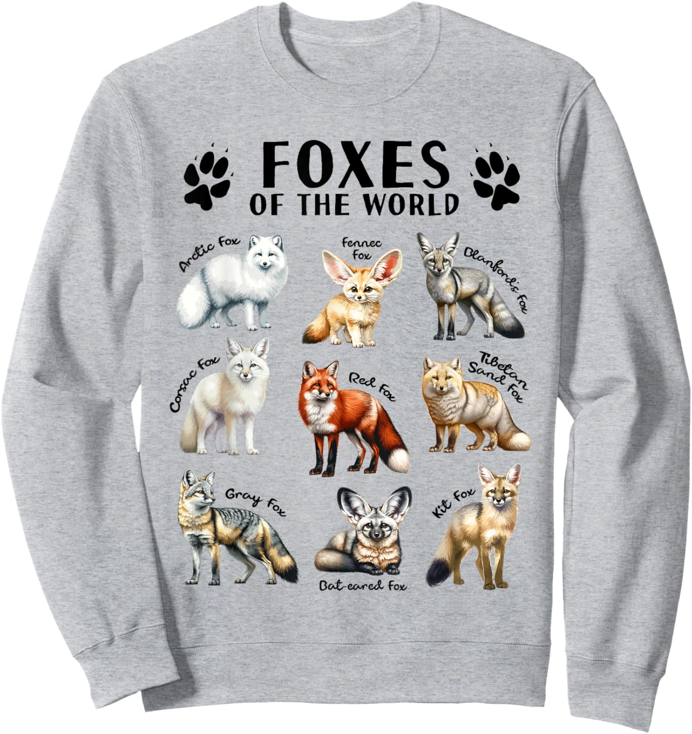 Foxes of the World Educational Collection Fox Types Animal Sweatshirt - Sweatshirt | Ash
