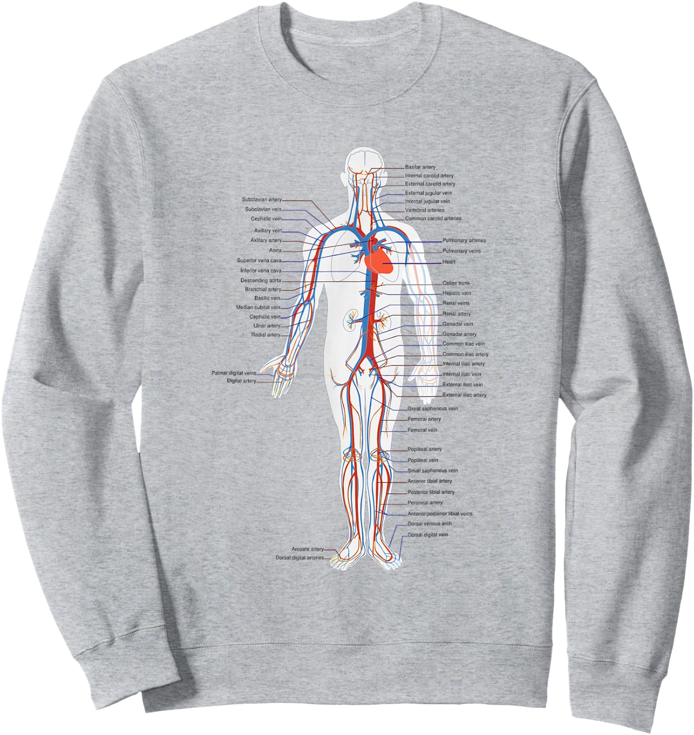 Circulatory System Anatomy Chart Arteries Veins Sweatshirt - Sweatshirt | Ash
