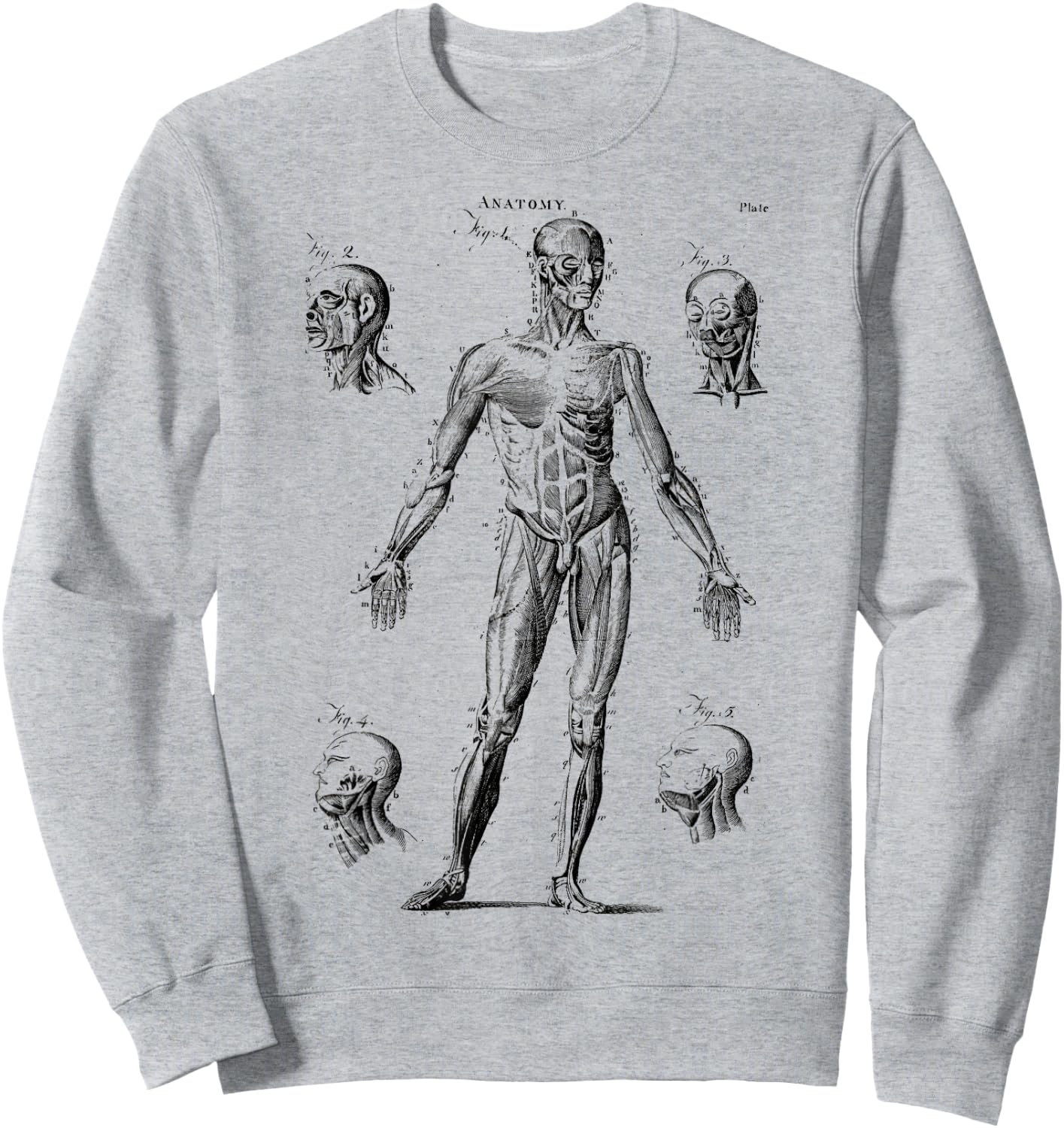 Human Muscle Anatomy Medical Anatomy Sweatshirt - Sweatshirt | Ash