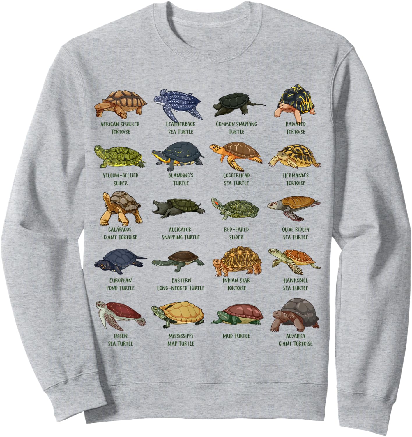 Tortoises and Turtles - Types of Turtles Sweatshirt - Sweatshirt | Ash