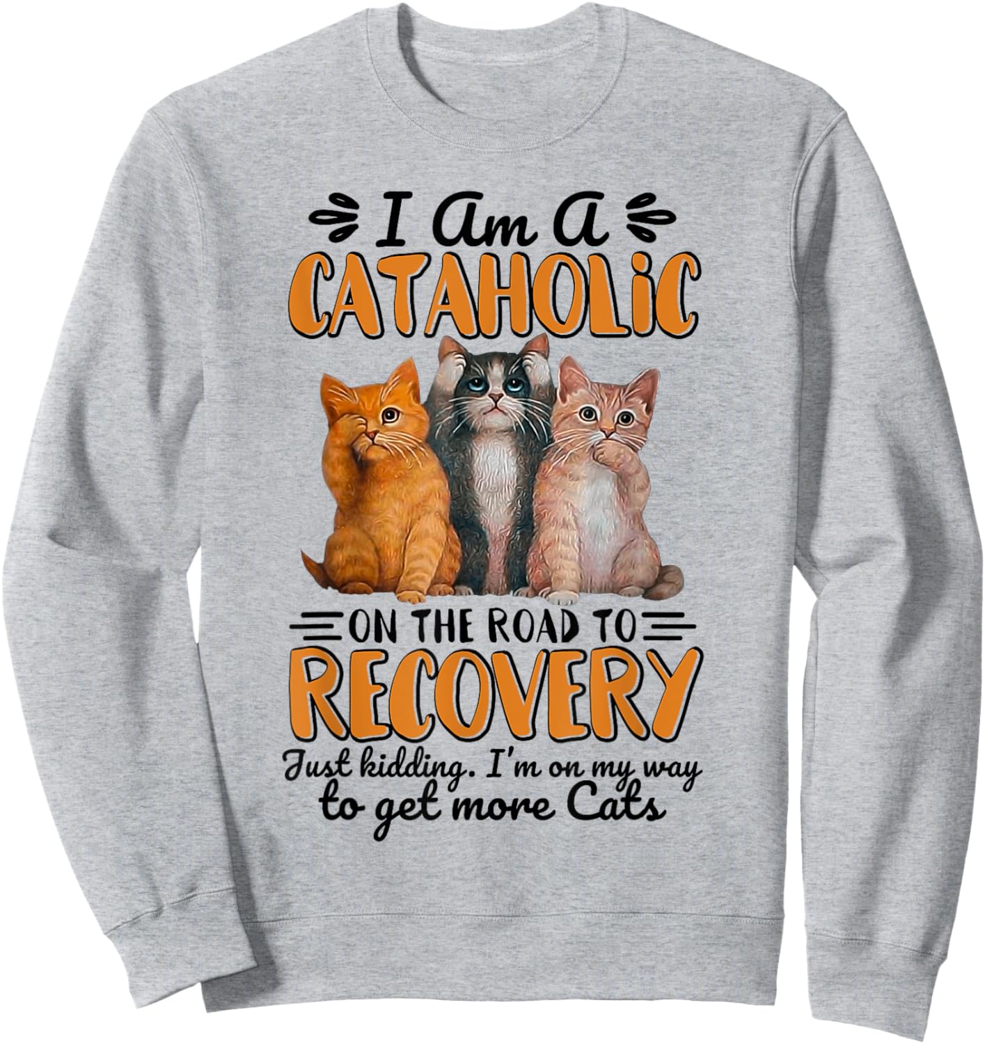I Am A Cataholic On The Road To Recovery Just Kidding Sweatshirt - Sweatshirt | Ash