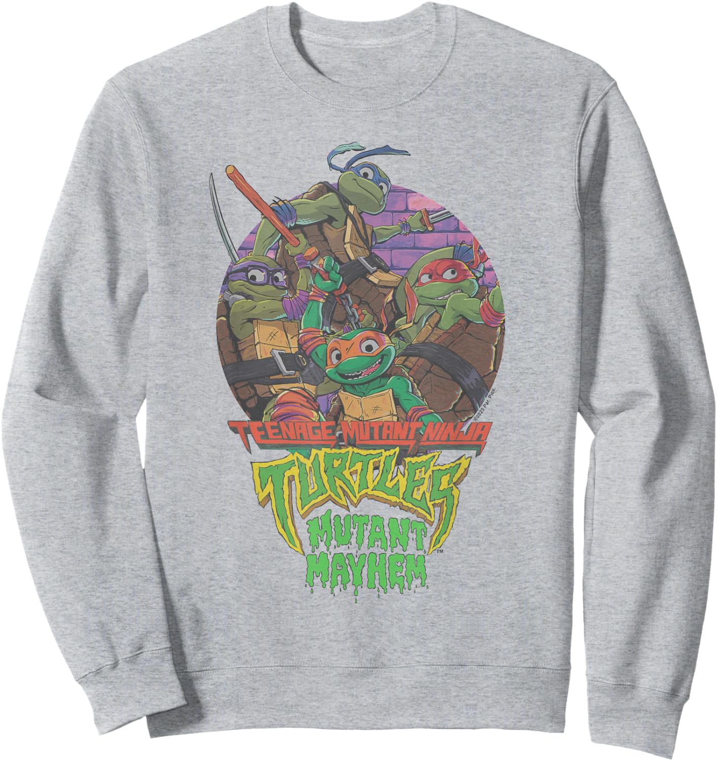 Teenage Mutant Ninja Turtles: Mutant Mayhem Squad Sweatshirt - Sweatshirt | Ash