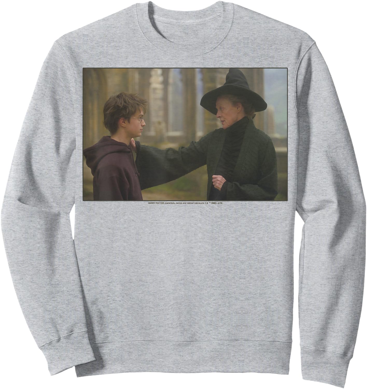 Harry Potter Harry & McGonagall Portrait Sweatshirt - Sweatshirt | Ash