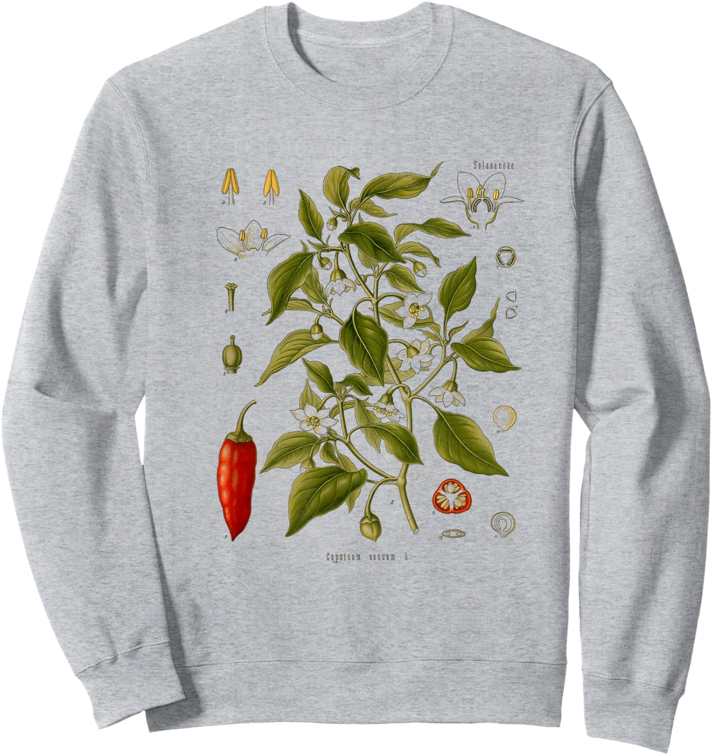 Vintage Botanical chili red peppers Garden Botany Sweatshirt - Sweatshirt | Ash