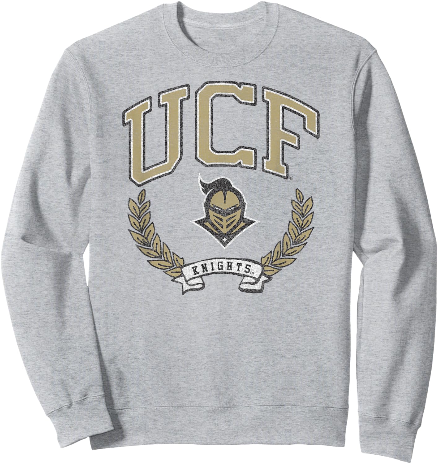 Central Florida Golden Knights Victory Vintage Gray Sweatshirt - Sweatshirt | Ash